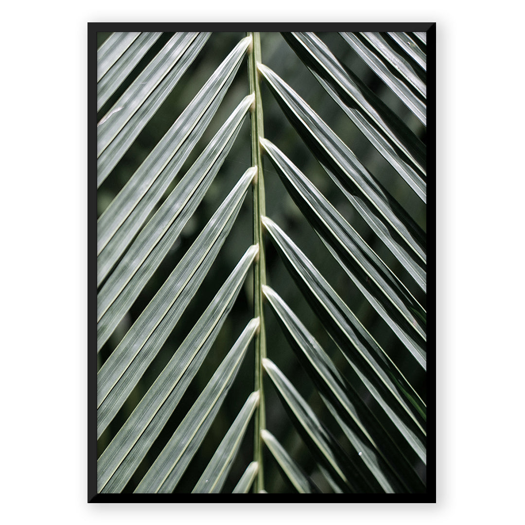 Palm leaf close-up art print - E_cb4b6ce6