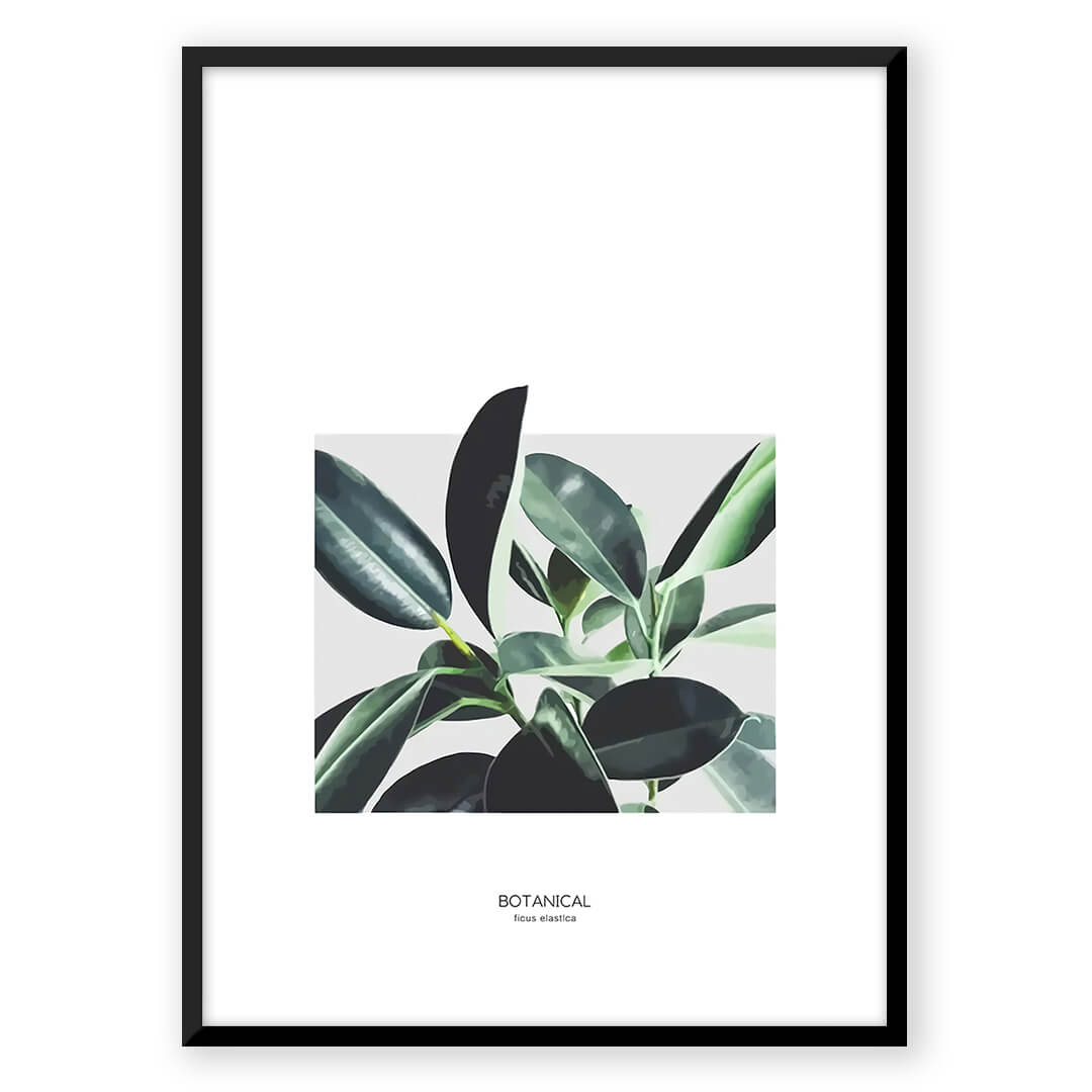Botanical framed plant art print