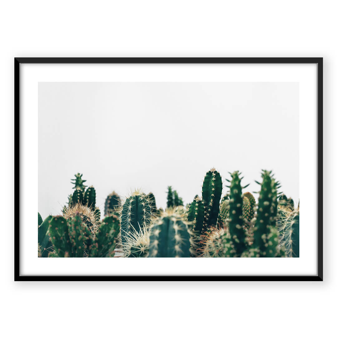 Cactus print G_a5b32ba3-b839-478a-bf37-5049a51232e3, framed cactus art