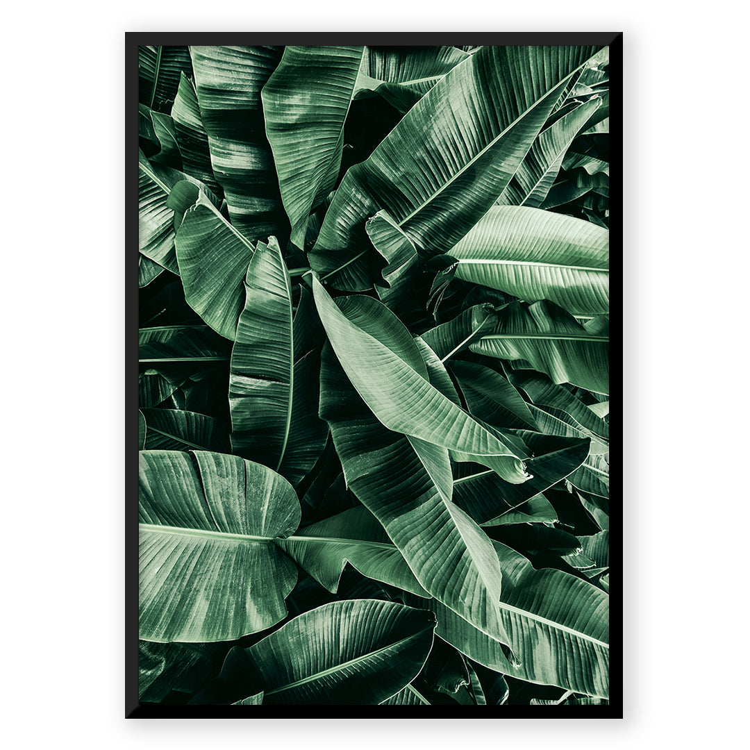 Banana leaf print A_0f5d5e49-7c46-484b-823e-7503bdd8aa7c
