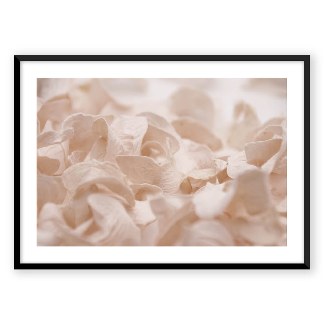 Close-up of pale pink rose petals in a framed print.