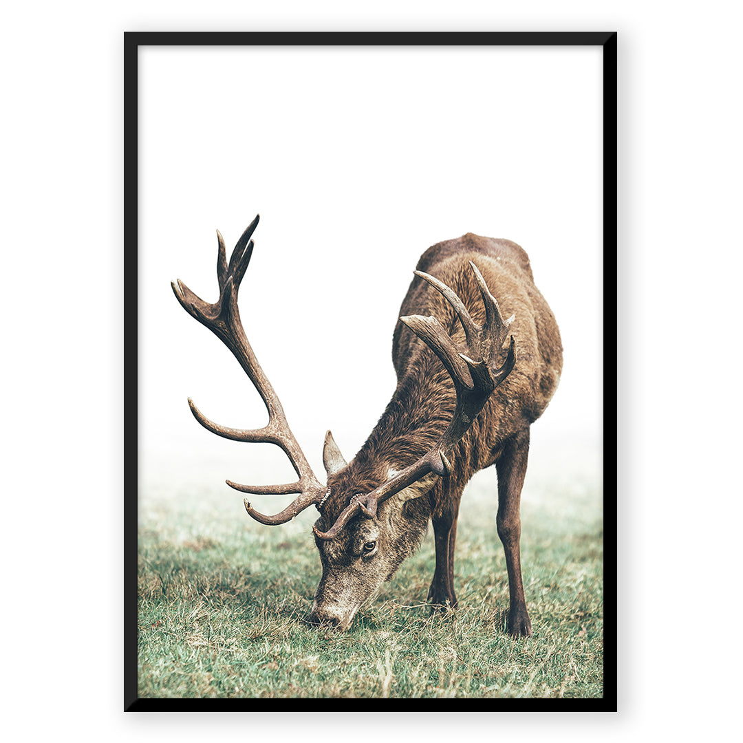 Deer artwork A_ab68b2fe-7514-492f-9a68-68c73582158d