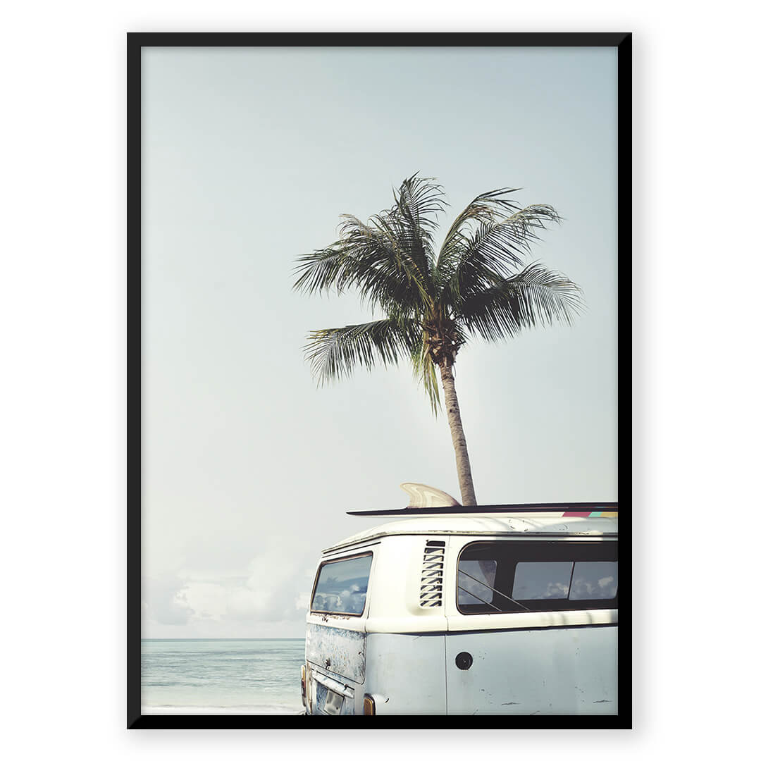 Coconut Paradise - Nordic Peace