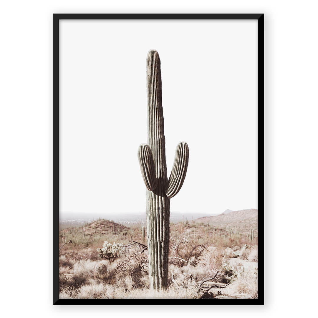 Desert Ocean - Nordic Peace