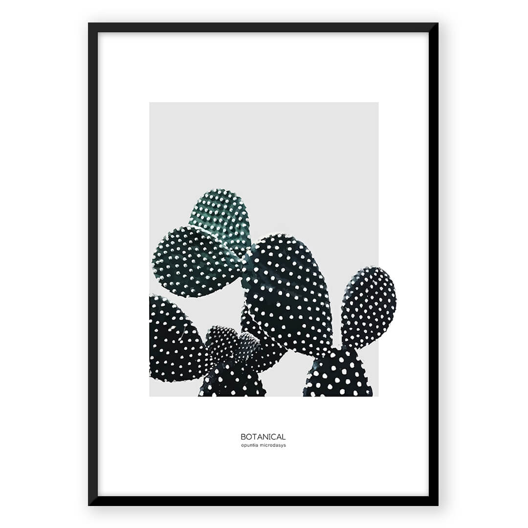 Botanical cactus art print, G_3aa8627f-906a-440a-9b89-915fc7b683a7